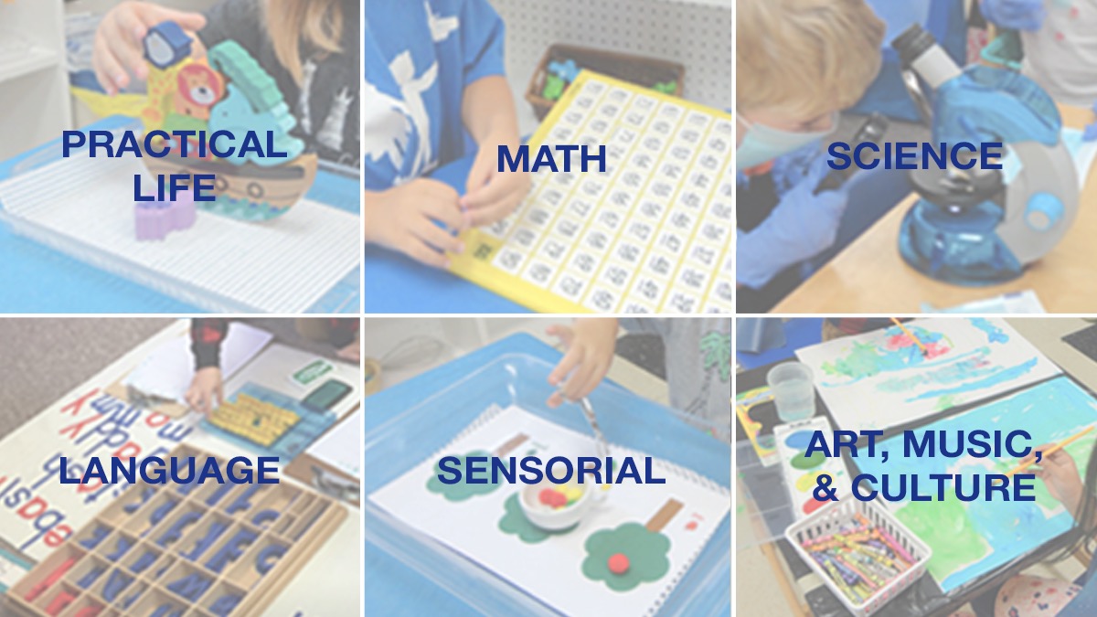 The Montessori Method & Monarch Montessori's Curriculum